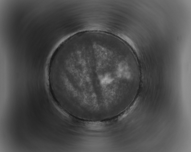 X0000092011120200710041020