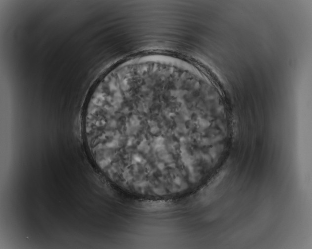 X0000092011121200710041020