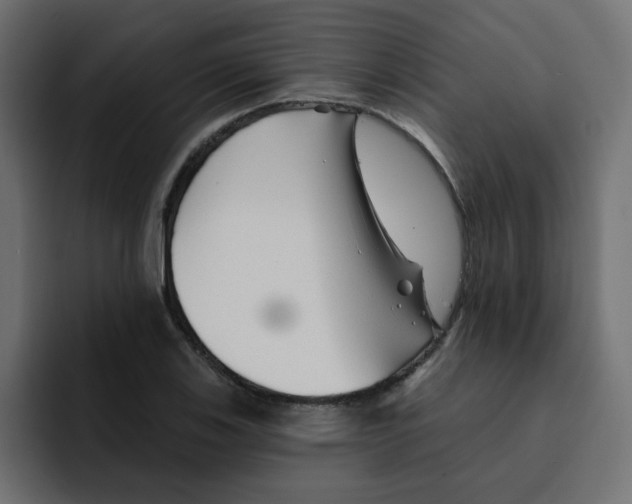 X0000092011123200710041020