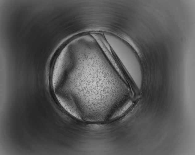 X0000092011124200710041020