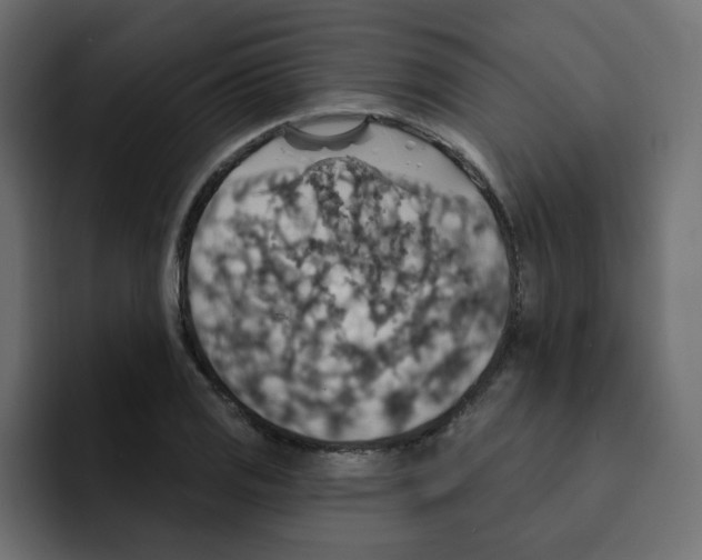 X0000092011125200710041020