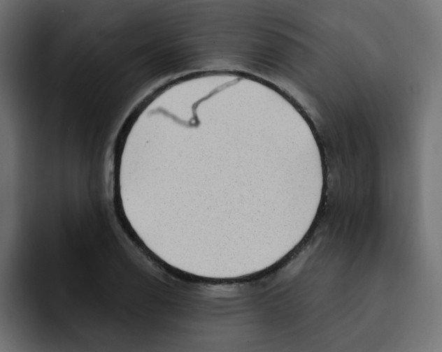 X0000092011126200710041020