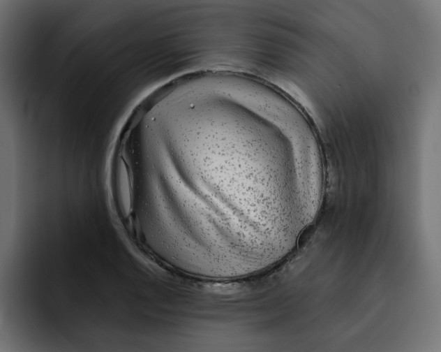 X0000092011128200710041021