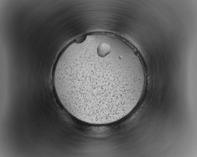 X0000092011129200710041021