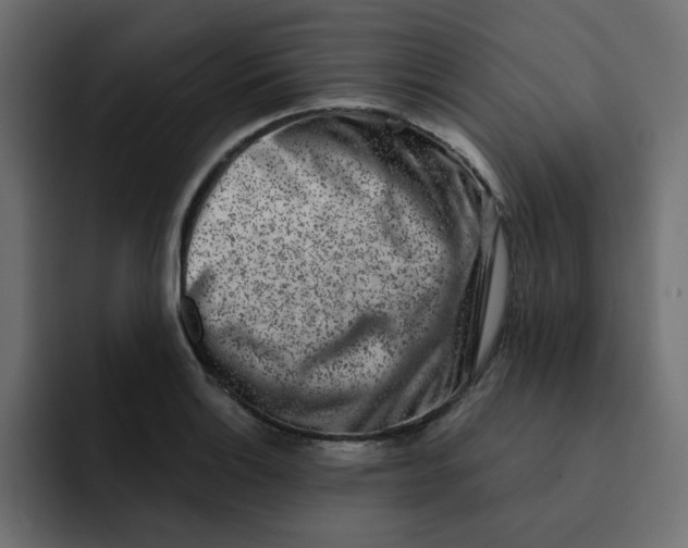 X0000092011132200710041021