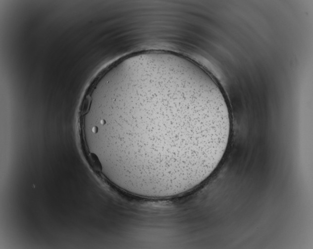 X0000092011133200710041021