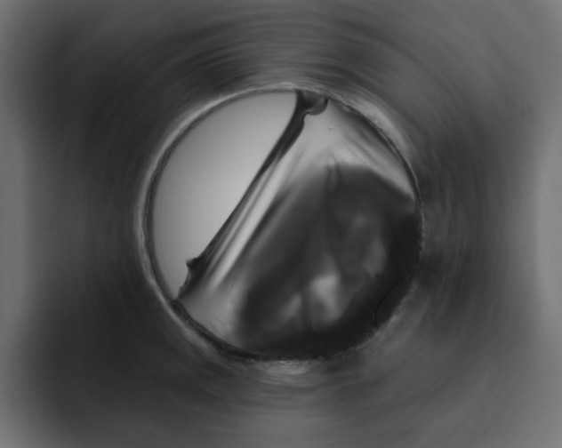 X0000092011141200710041021