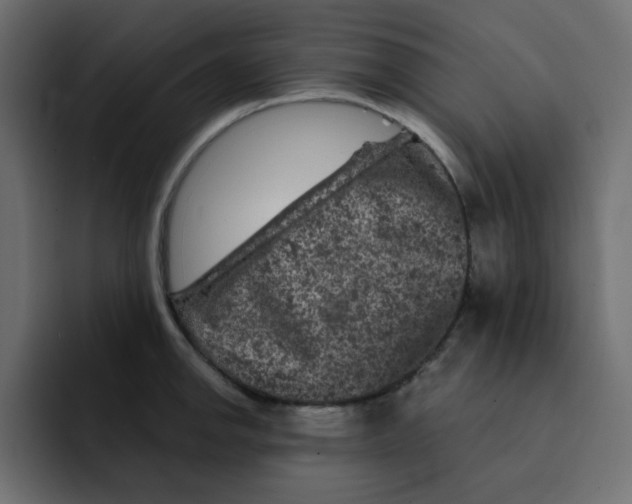 X0000092011142200710041021