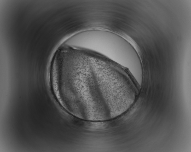 X0000092011144200710041021