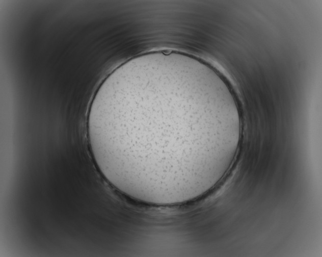 X0000092011145200710041021