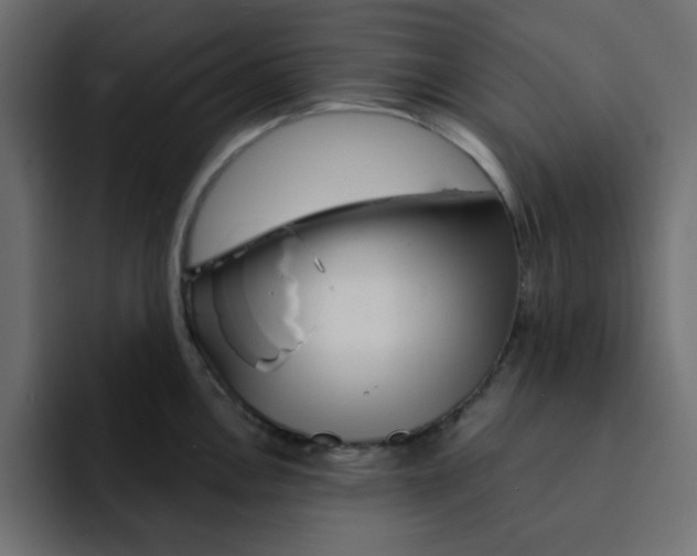 X0000092011146200710041021