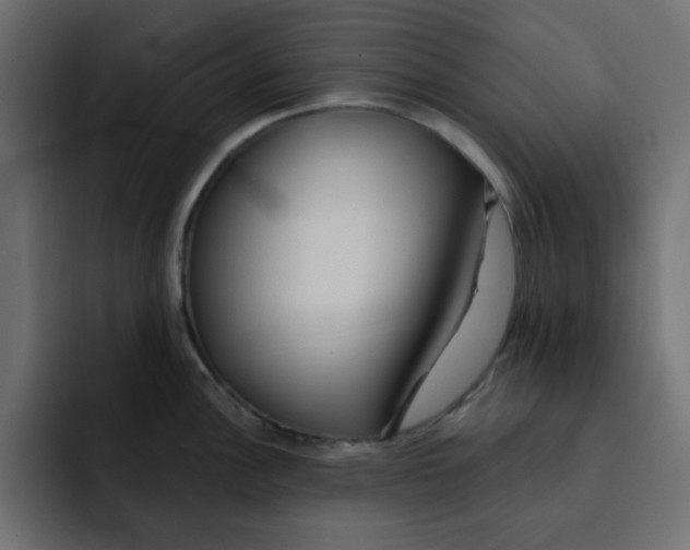 X0000092011148200710041021