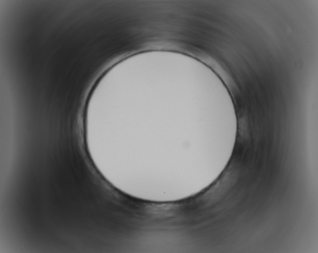 X0000092011150200710041021