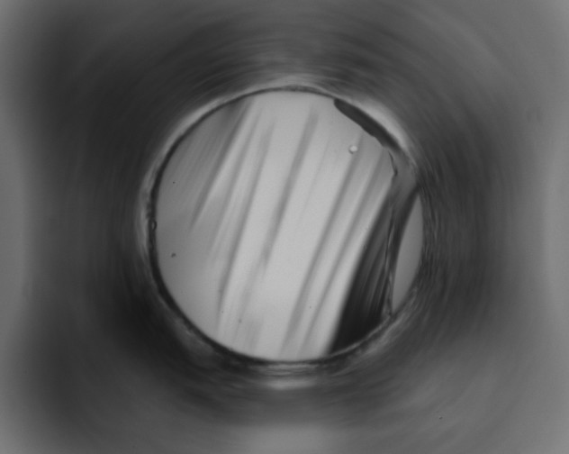 X0000092011151200710041021
