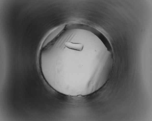 X0000092011152200710041021
