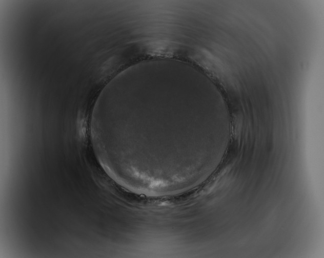 X0000092011154200710041020