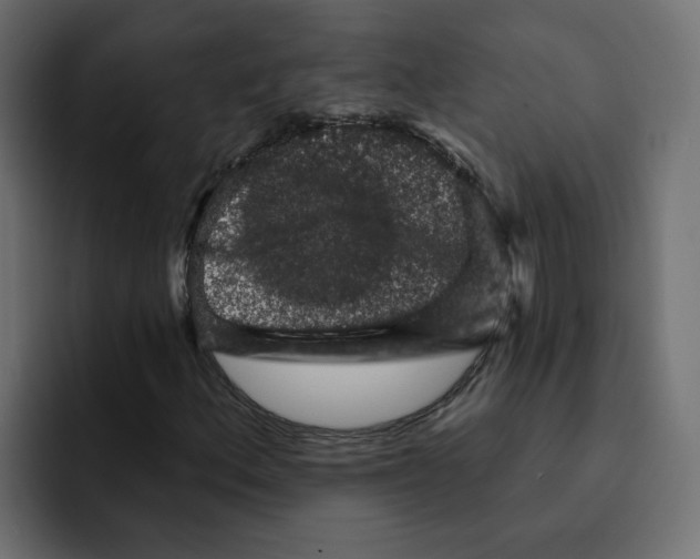 X0000092011156200710041020