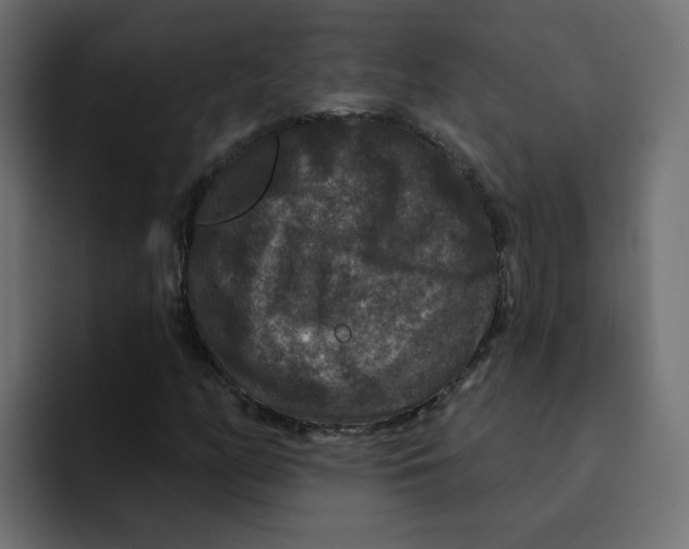 X0000092011158200710041020