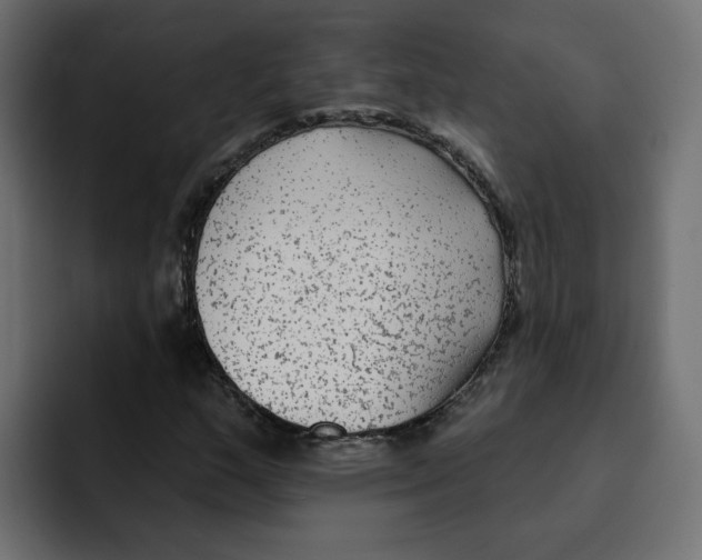 X0000092011159200710041020