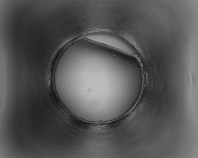 X0000092011165200710041020