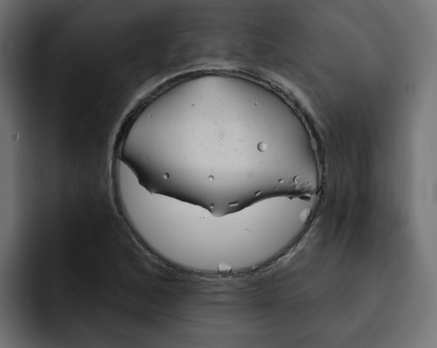 X0000092011168200710041020