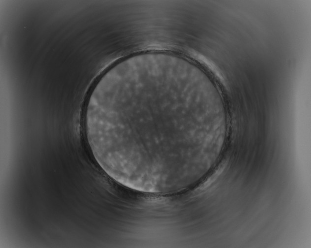 X0000092011170200710041020