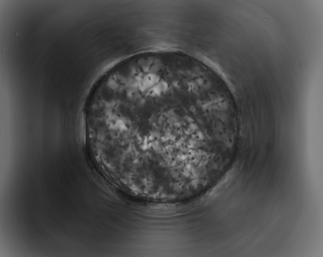 X0000092011171200710041020
