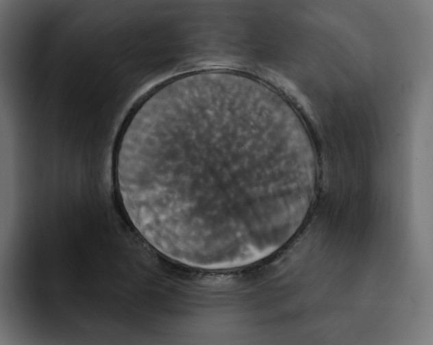 X0000092011174200710041020