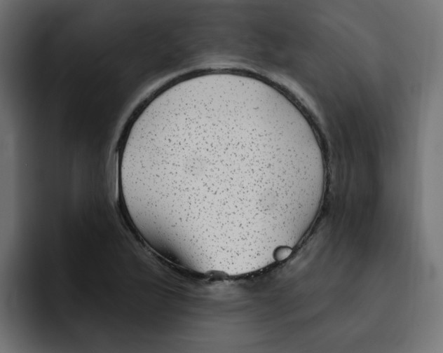 X0000092011175200710041020
