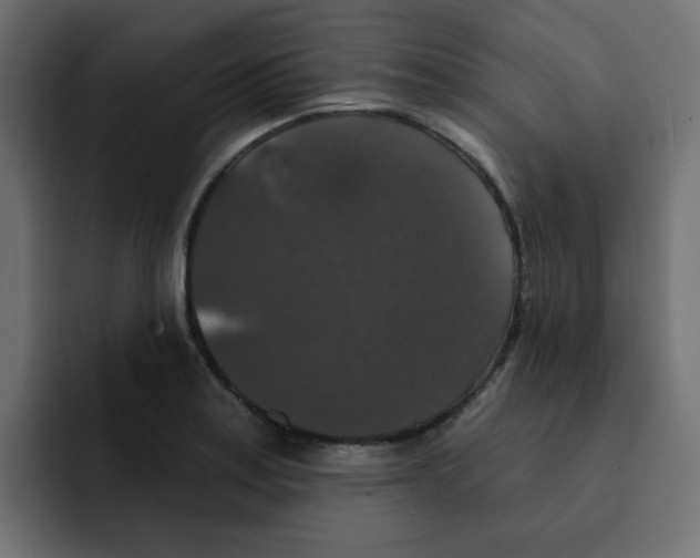 X0000092011179200710041020