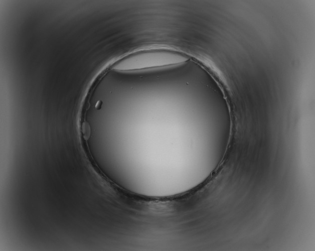 X0000092011181200710041020