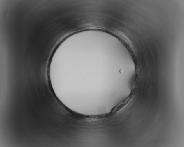 X0000092011182200710041020