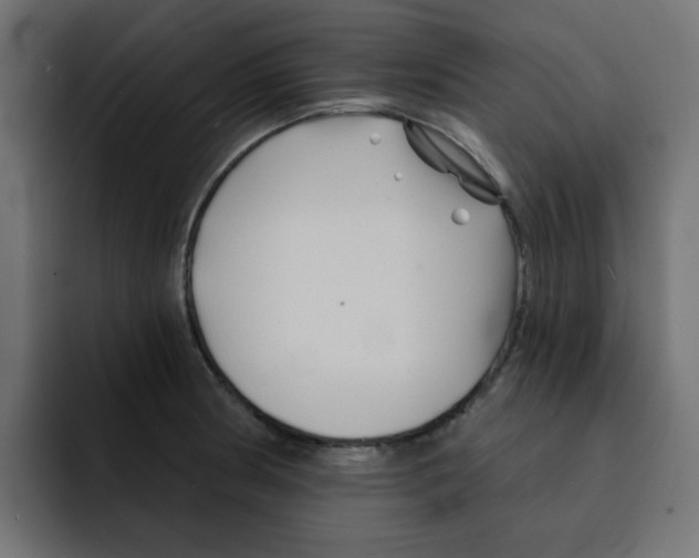 X0000092011186200710041020
