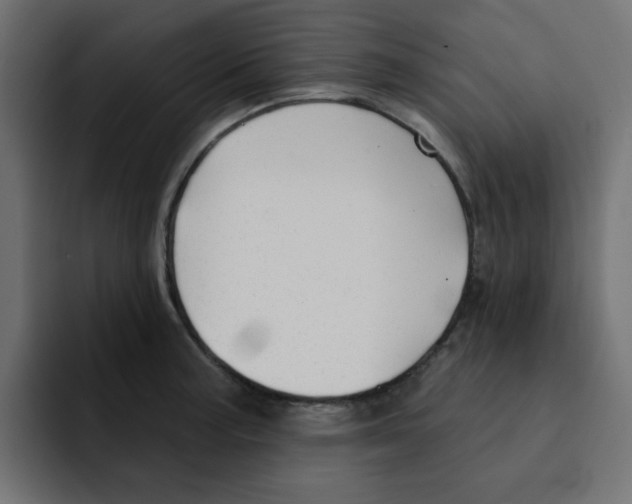 X0000092011187200710041020