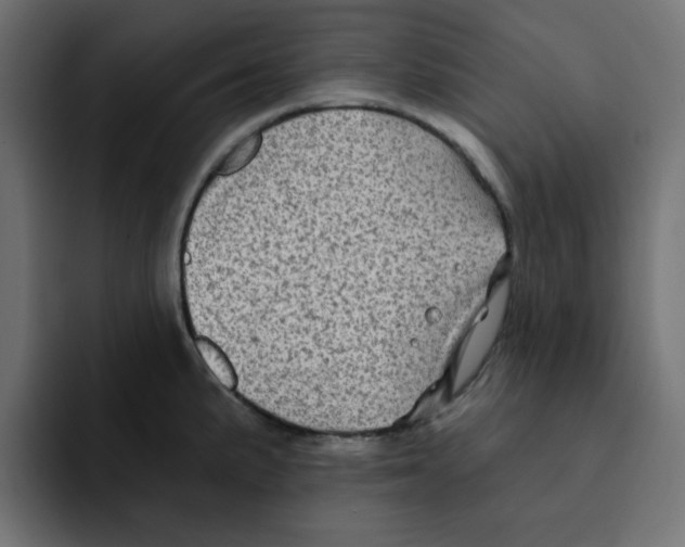 X0000092011191200710041020