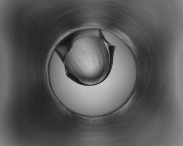 X0000092011192200710041020
