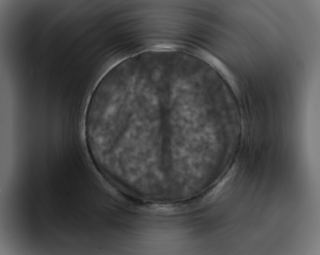 X0000092011194200710041020