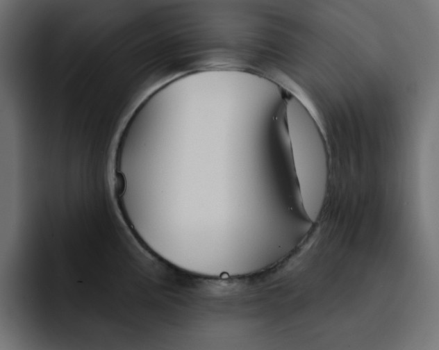X0000092011195200710041020