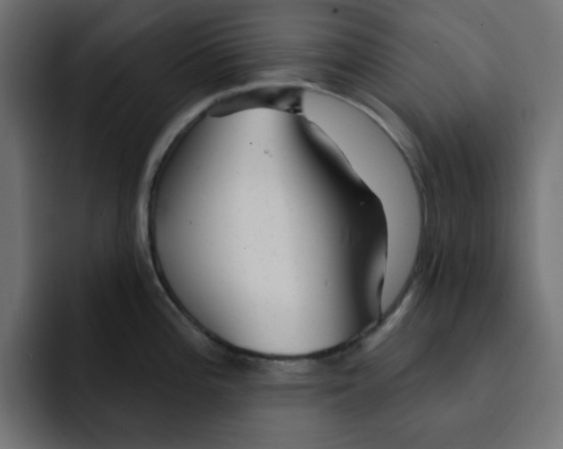 X0000092011196200710041020