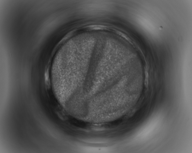X0000092011198200710041020