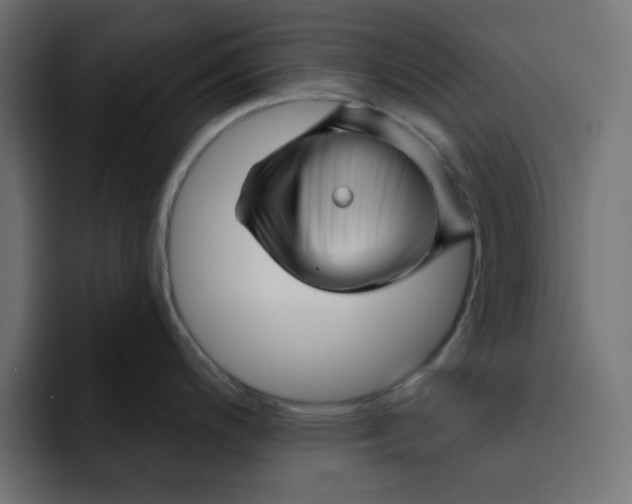 X0000092011200200710041020