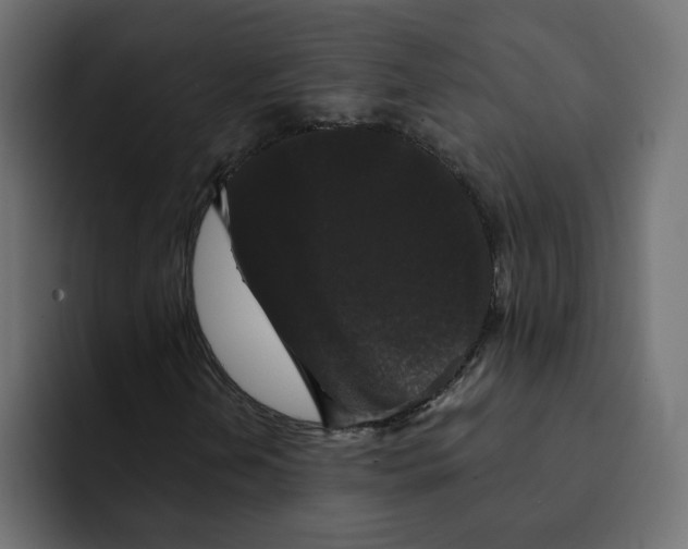 X0000092011202200710041019