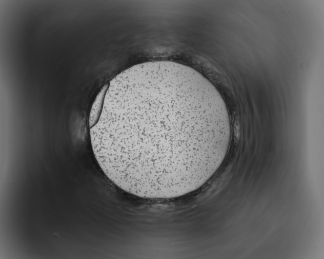 X0000092011204200710041019