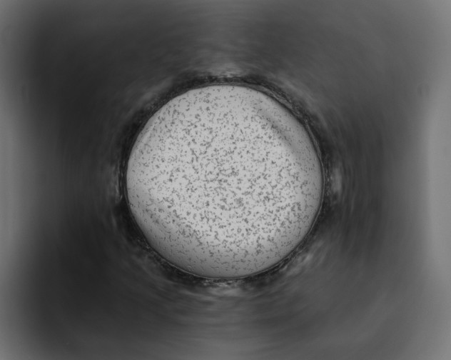 X0000092011205200710041019