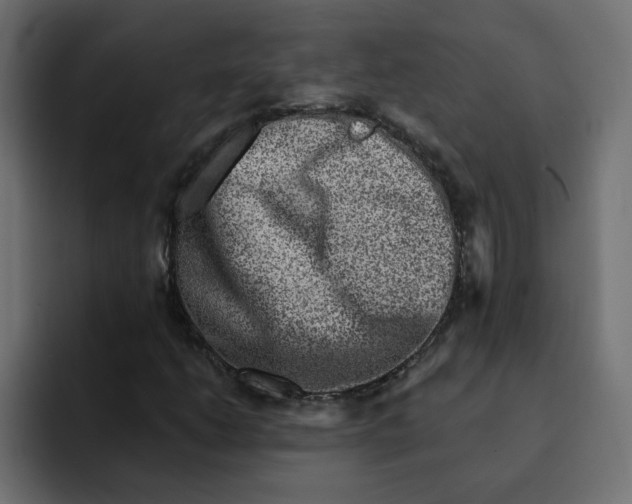 X0000092011206200710041019