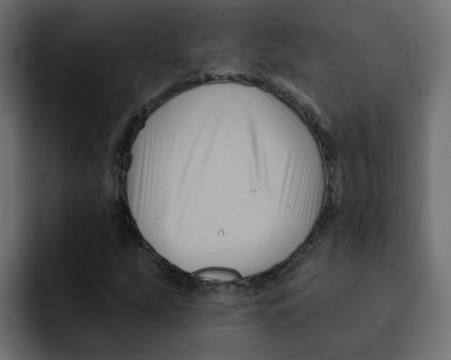 X0000092011207200710041019