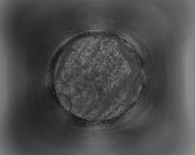 X0000092011208200710041019