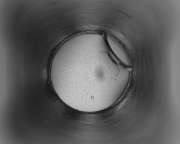 X0000092011209200710041019