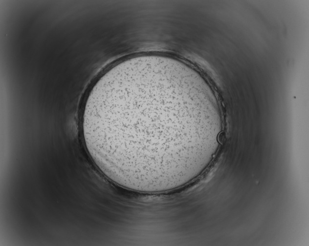 X0000092011212200710041019