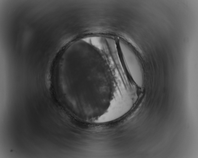 X0000092011213200710041019